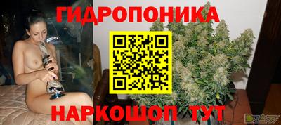 стаф Гатчина