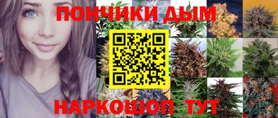 стаф Гатчина
