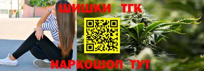 стаф Гатчина