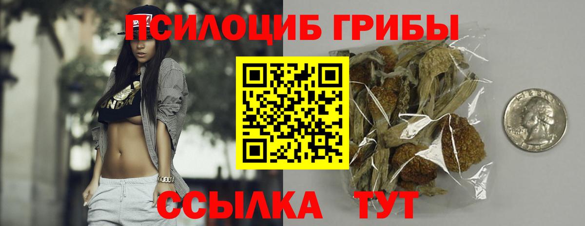 Мурино  Галлюциногенные грибы прущие грибы  Вход с VPN 